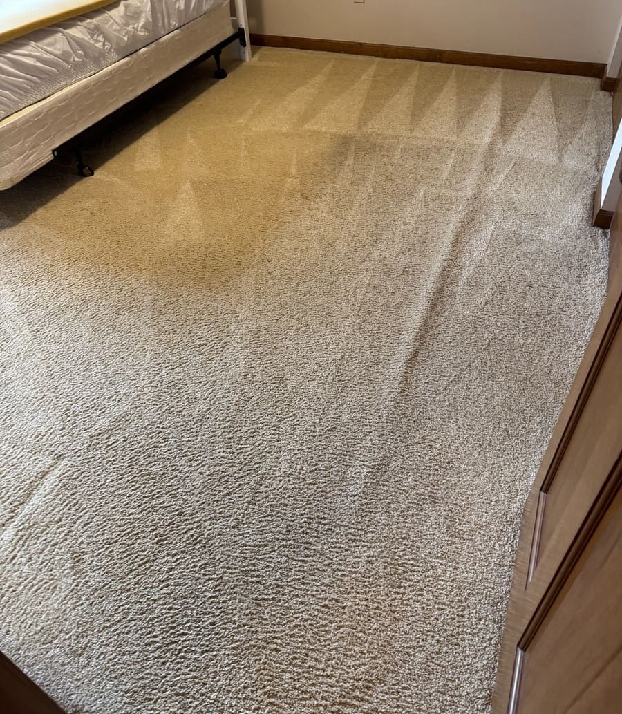 After: After cleaning: the same bedroom carpet with an even appearance
