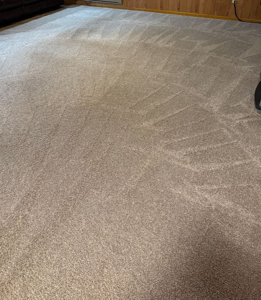 After: After cleaning: the same living-room carpet with an even appearance