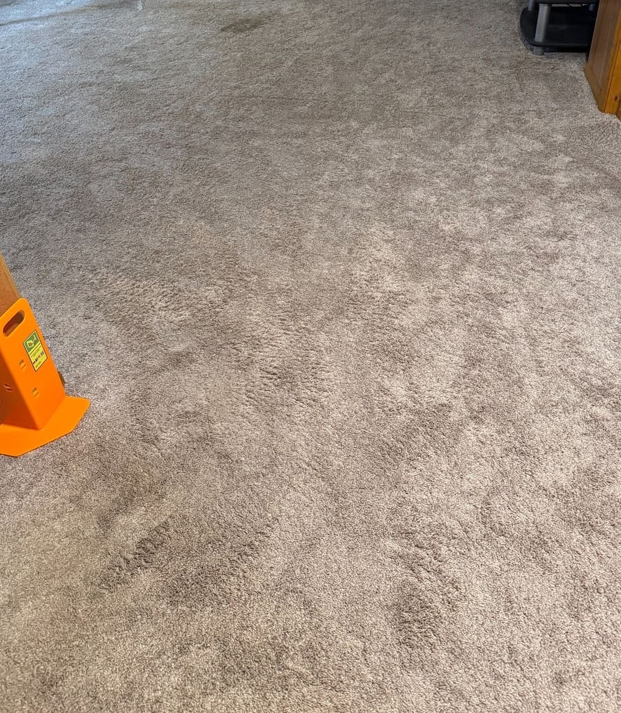 Before: Before cleaning: living-room carpet with visible traffic soil