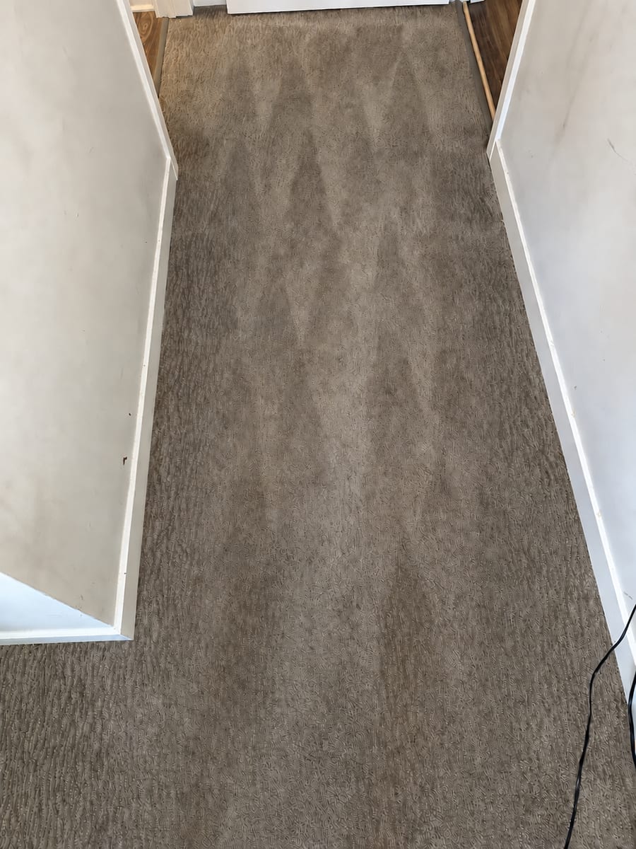 After: The same hallway carpet after VLM cleaning