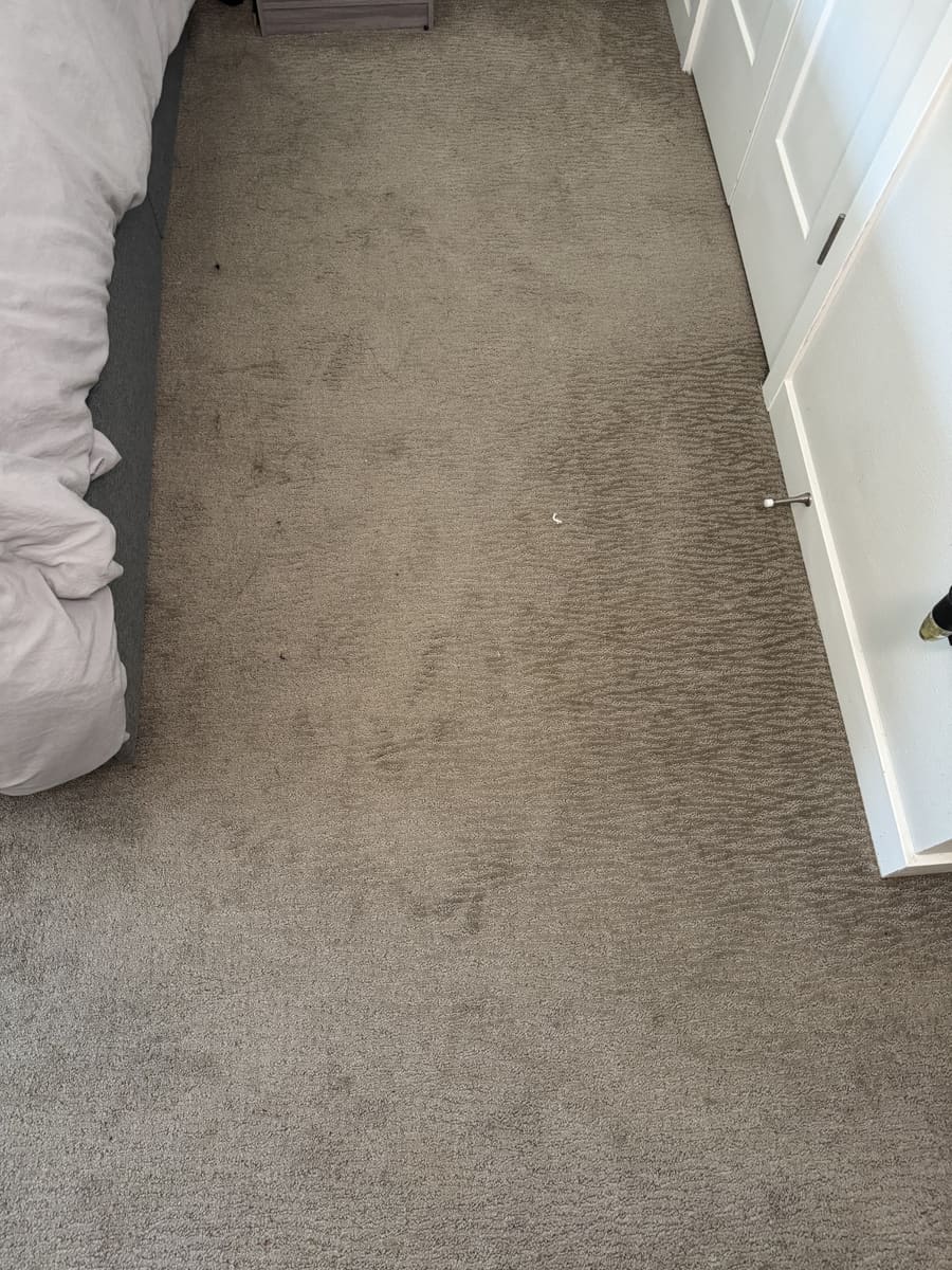 Before: Carpet beside a bed before VLM cleaning