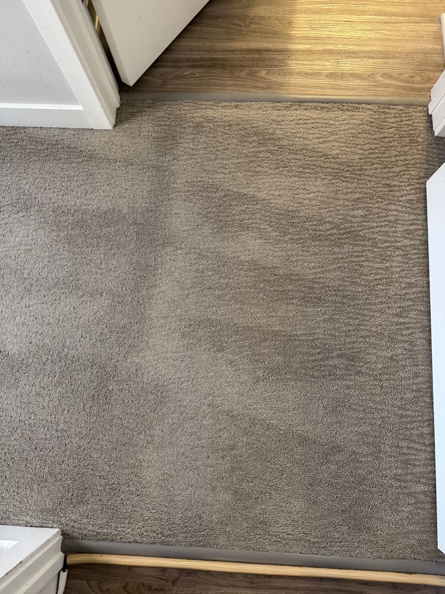 After: The same doorway carpet after VLM cleaning