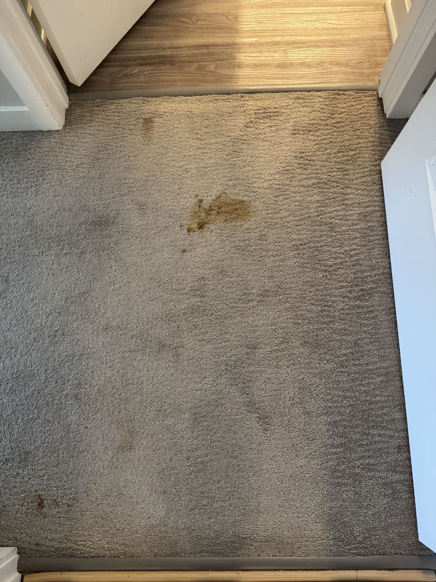 Before: Doorway carpet with a visible brown spot before VLM cleaning